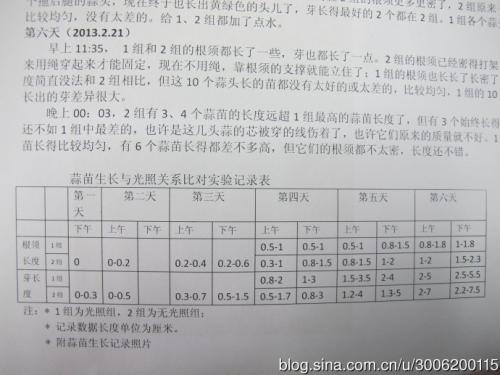 初中观察日记