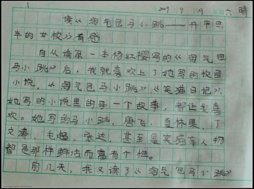 关于阅读淘气堡马小调的思考