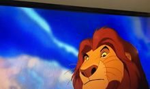 狮子王读后感英语