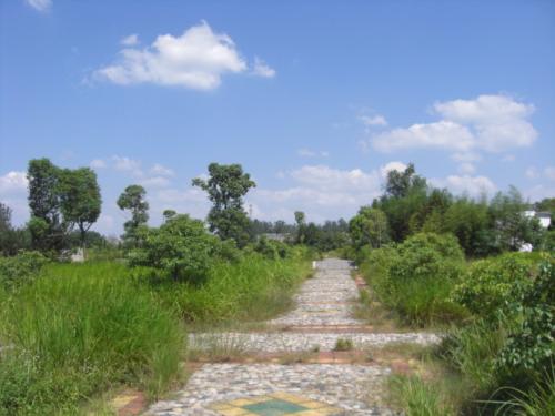 周围的风景