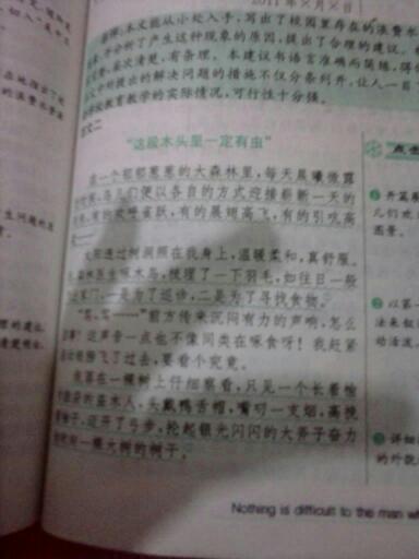 200字升国旗