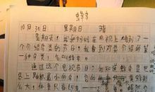 小学五年级观察日记