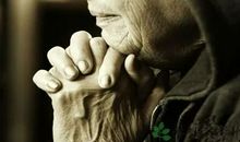 树欲静而风不止，子欲养而亲不待