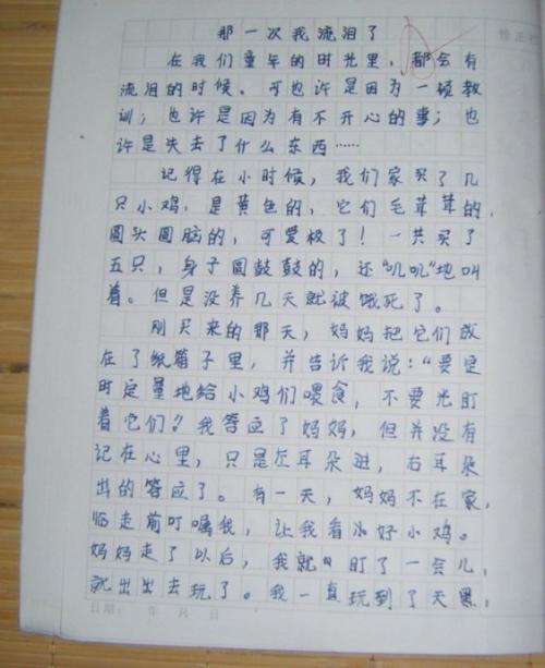 学校论文