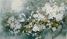 诗意化的个性签名