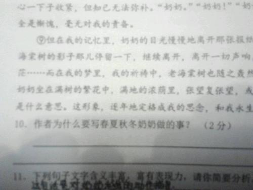 老海棠树