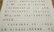 学校的小花园作文