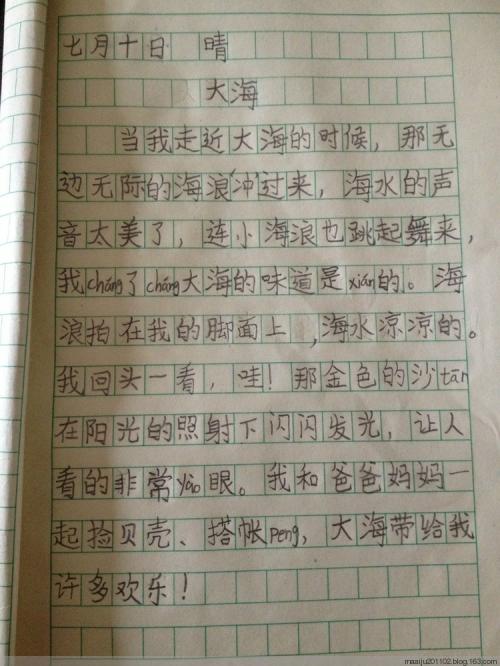 日记中有300个字
