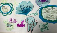 白天的星星读后感