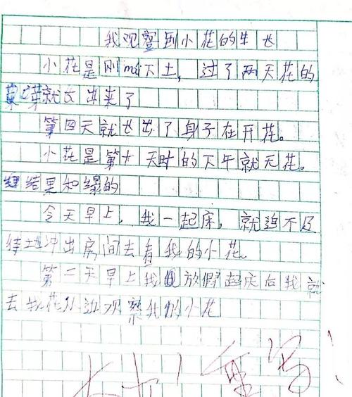 小狗组成