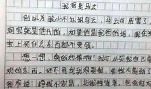 小学生作文我的发现