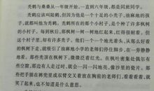 草房子600字读后感