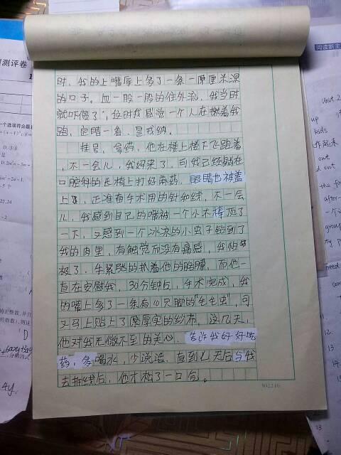写偶像的作文