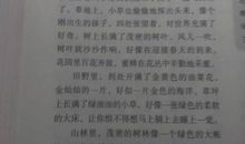 过春节作文200字