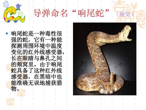 100字仿生成分