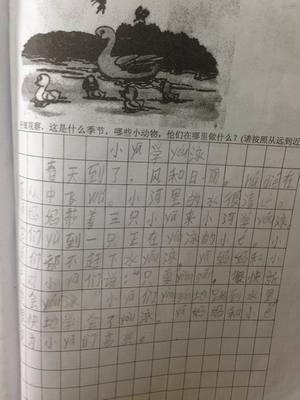 关于游泳的组成