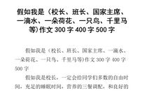 写荷花的作文400字