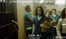 那些卑微的母亲读后感