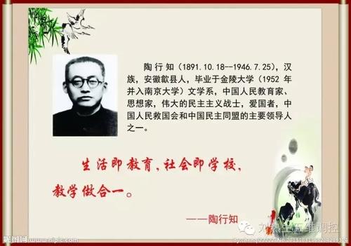 看完陶行知