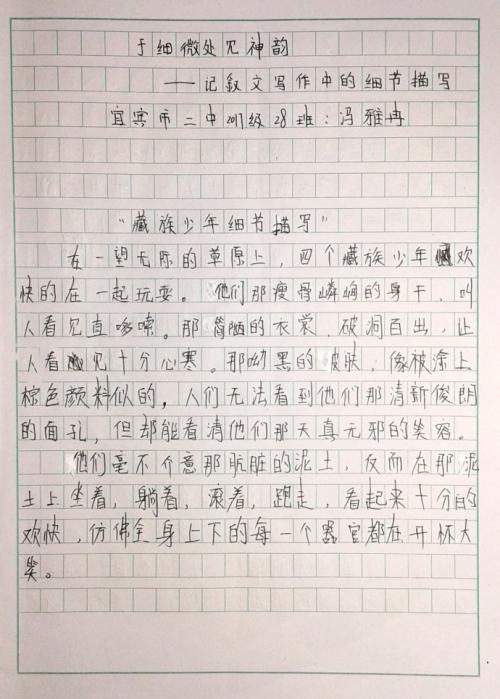 描述偶像的作品