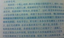 写春天来了的作文