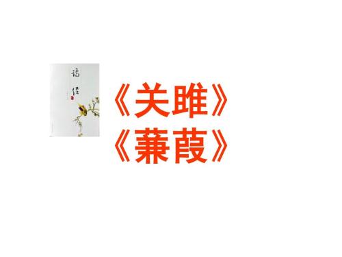 关菊改写