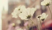 善待他人就是善待自己作文