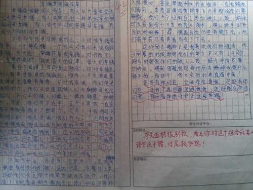 我心中的偶像600字