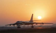 虎娃金叶子读后感300字