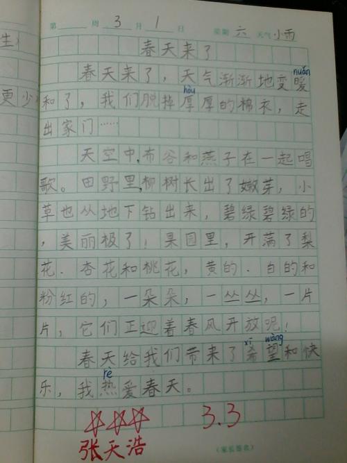 一年级作文春天在这里