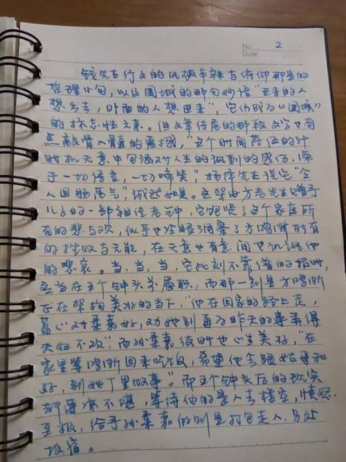 在雨中看完后