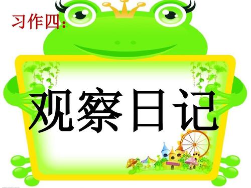 3本观察日记