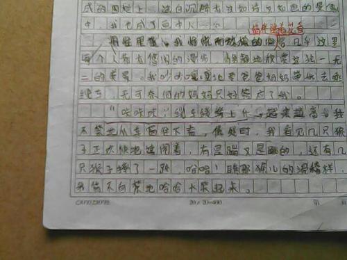 安排好时间
