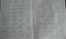 小学生日记100字