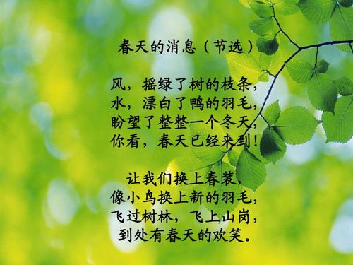 享受春天的作文