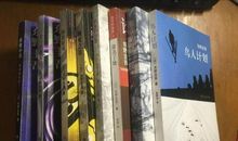 鸟人计划读后感