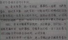 十篇读后感200字