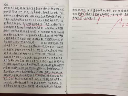 阳光主题构成