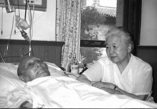 ang克家老马