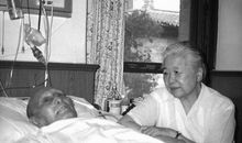 臧克家老马读后感