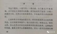 有阳光真好作文