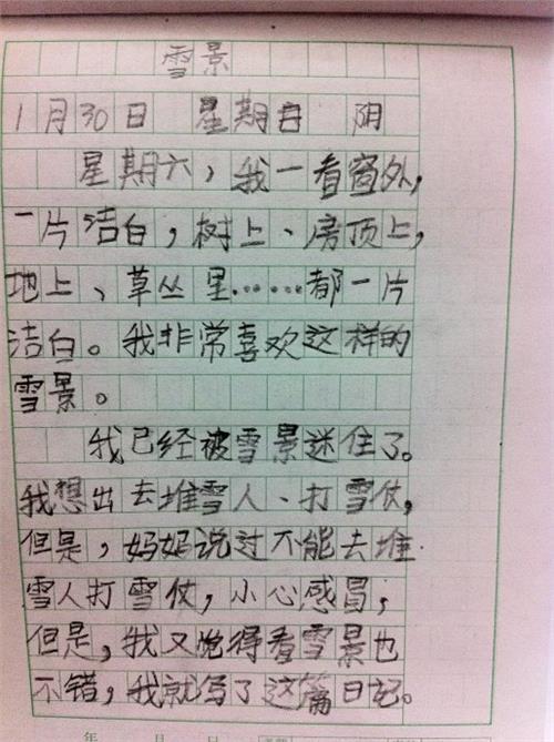 中学日记300字