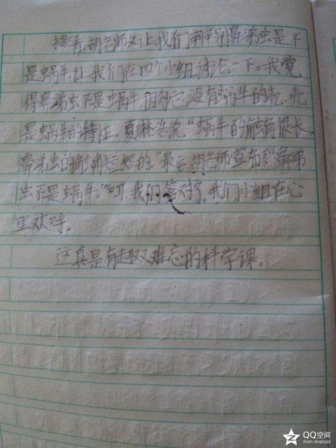 200字观察日记