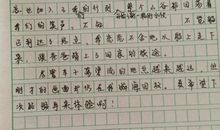 初一日记300字