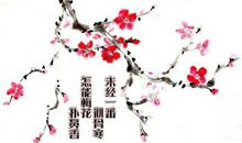 赞美梅花的作文