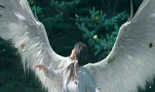 情癫大圣经典语录