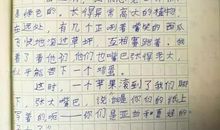 有关团结协作的作文