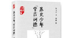 苏北少年堂吉诃德读后感500字