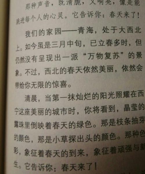 我发现小学组成