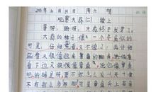 仙人球的观察日记